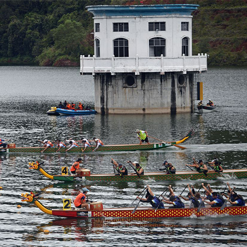 Penang dragon boat regatta roars back into action